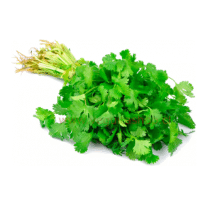 Cilantro atado