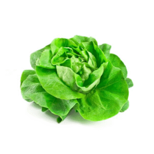 Lechuga española unidad