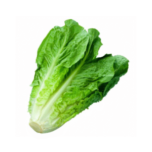 Lechuga costinas unidad