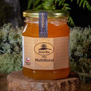 Miel Multifloral