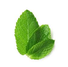 Menta fresca 200 grs.